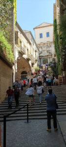 CFGM en Activitats Comercials Girona Temps de Flors_22 7