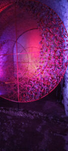 CFGM en Activitats Comercials Girona Temps de Flors_22 8