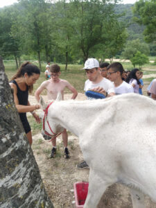 Colònies IFE curs 2021_221