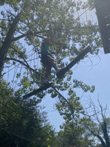 Colònies IFE curs 2021_22101