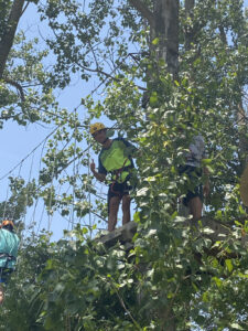 Colònies IFE curs 2021_22105