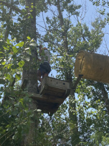 Colònies IFE curs 2021_22122