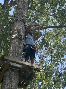 Colònies IFE curs 2021_22124