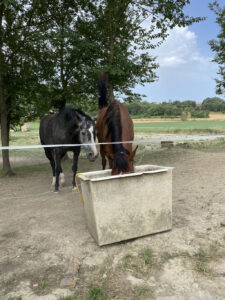 Colònies IFE curs 2021_2215