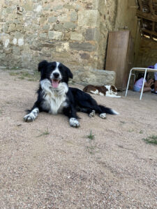 Colònies IFE curs 2021_2220