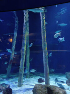 Viatge 4t ESO Curs 2021_22 - 1