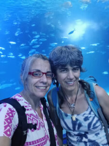 Viatge 4t ESO Curs 2021_22 - 2