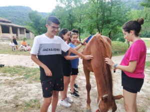 Viatge IFE Curs 2021_22 47f65858-2ac1-4298-ba94-99aef5710519