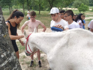 Viatge IFE Curs 2021_22 B3BEFEA1-D99D-4F7A-B598-CFCA1AEA0697