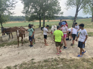 Viatge IFE Curs 2021_22 IMG_6242