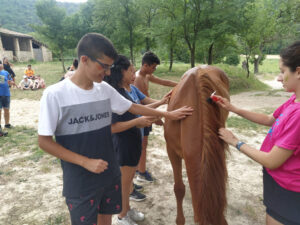 Viatge IFE Curs 2021_22 a5ba4856-48c0-405b-b3ad-d784c8dd3d40