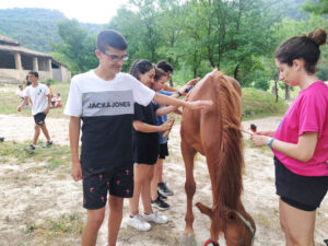 Viatge IFE Curs 2021_22 de080988-aaf3-4599-b148-1279f3a52ed6