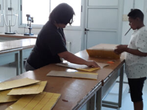 Mago de Oz 1r ESO Curs 2021_22 4