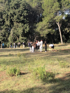 Castanyada ESO Cicles Activitats físiques oct 22_7