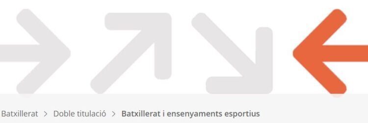 Batxillerat i Ensenyaments esportius