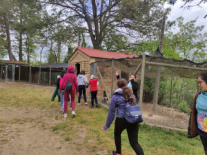 COLÒNIES_1r ESO_2023