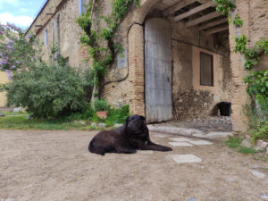 COLÒNIES_1r ESO_2023