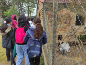 COLÒNIES_1r ESO_2023