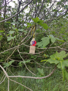 COLÒNIES_1r ESO_2023