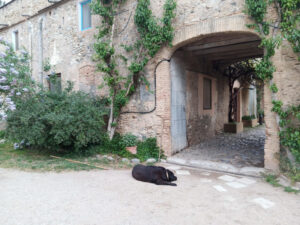 COLÒNIES_1r ESO_2023