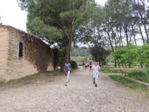 COLÒNIES_1r ESO_2023