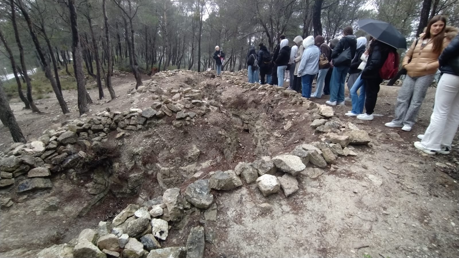 Imatge de WhatsApp 2025-02-12 a les 13.30.58_7bd7d678