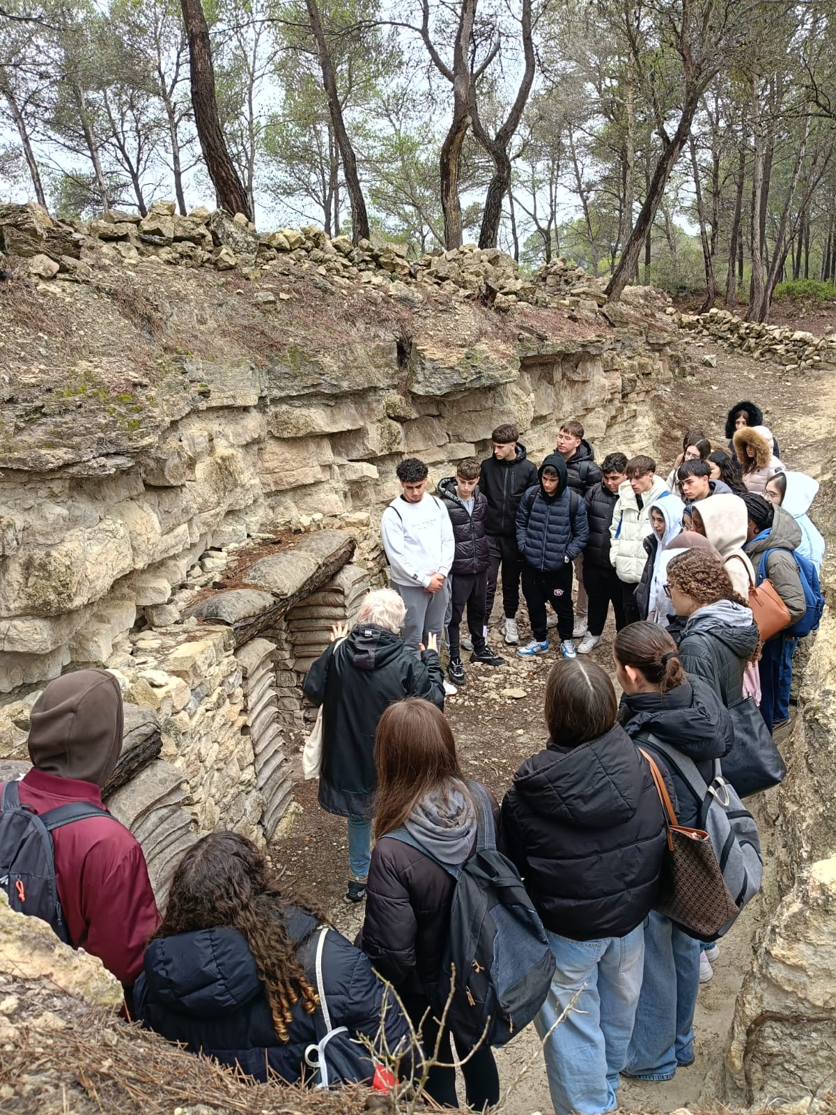 Imatge de WhatsApp 2025-02-12 a les 14.32.14_890e63a9