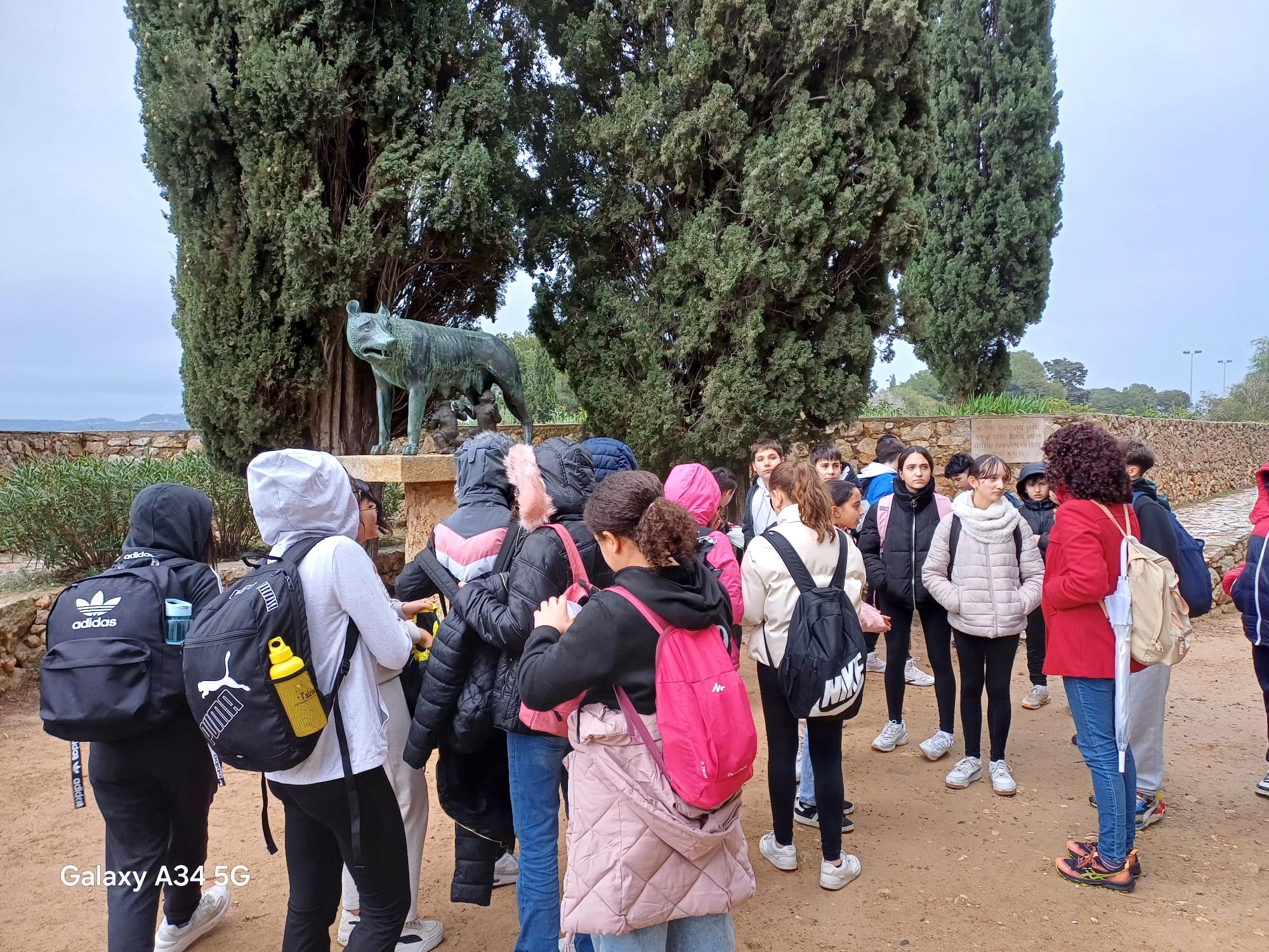 Imatge de WhatsApp 2025-02-12 a les 15.50.53_1f12c68e