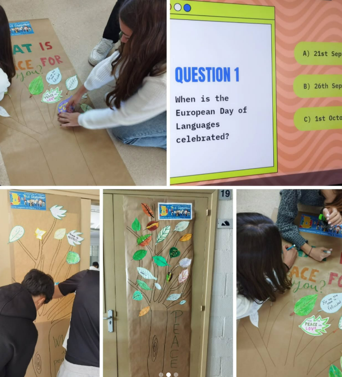 Captura de pantalla 2025-09-29 145757