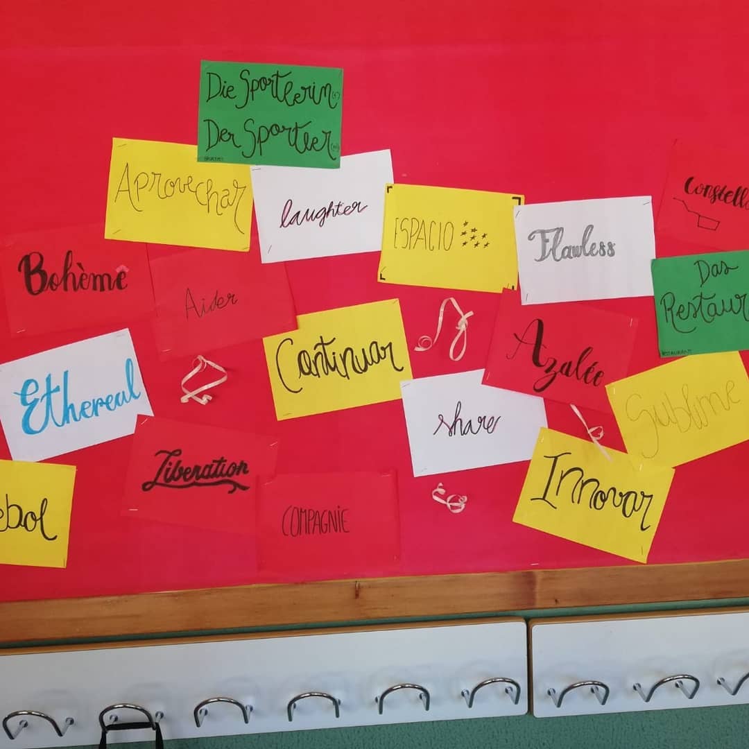 70124914_399548117410861_2401815619502633177_n