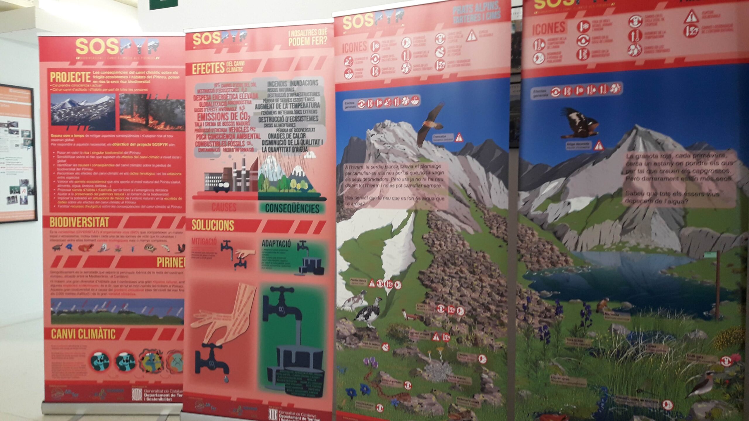 Exposició biodiversitat