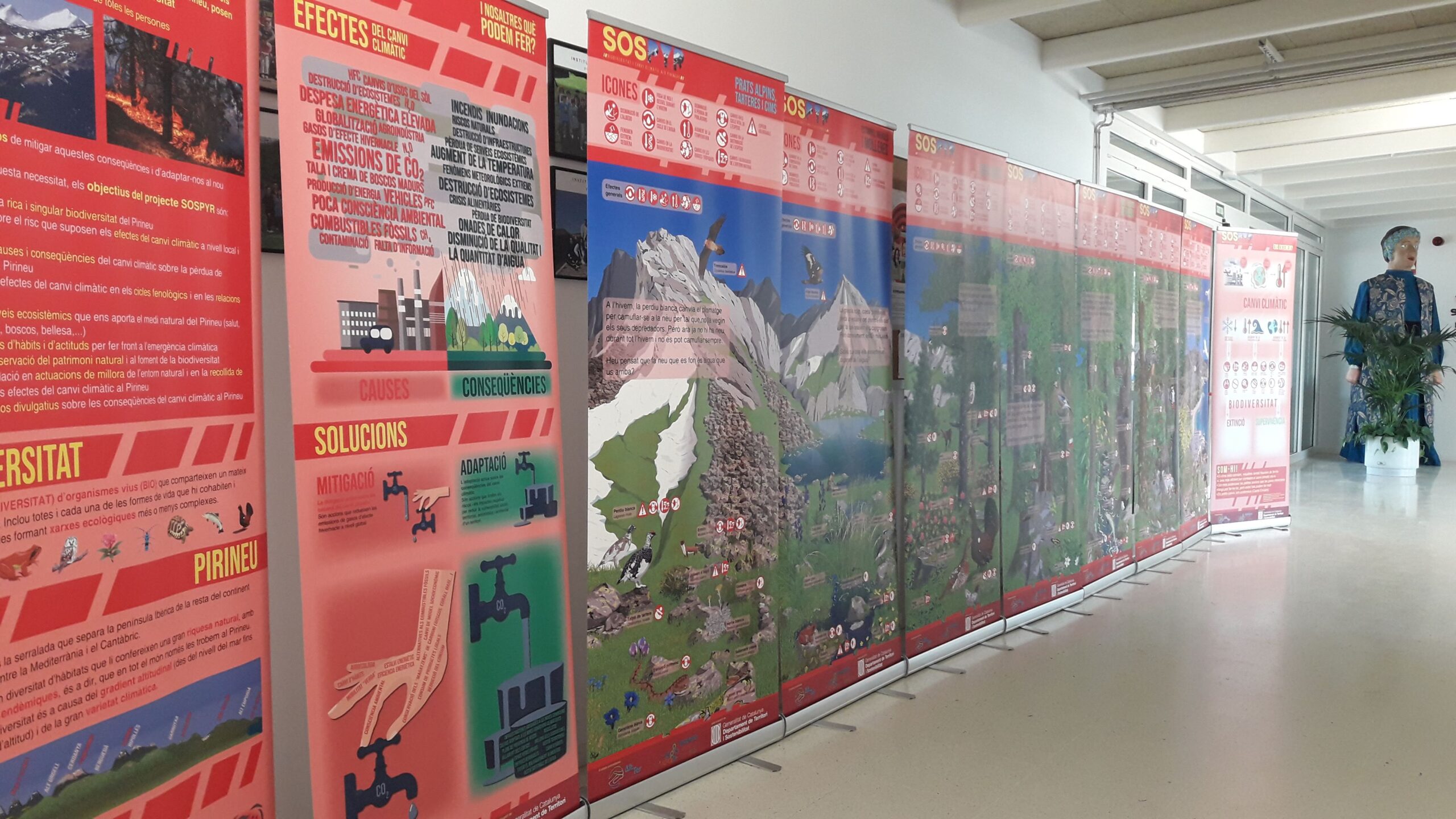 Exposició de Biodiversitat