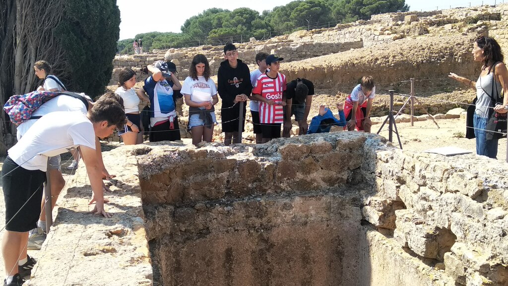 IMG_20230530_110833.resized