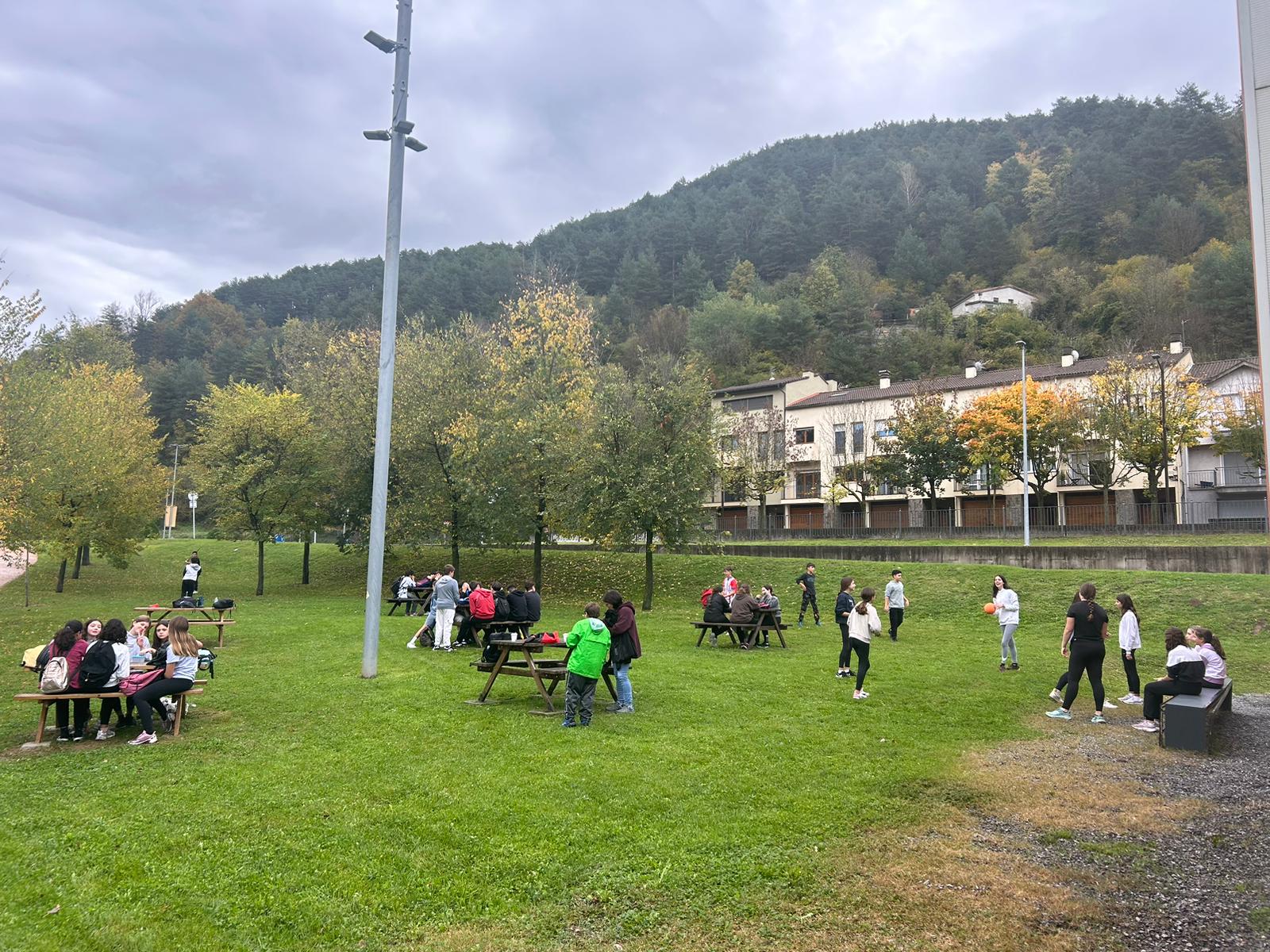 WhatsApp Image 2024-10-31 at 11.13.39 (1)