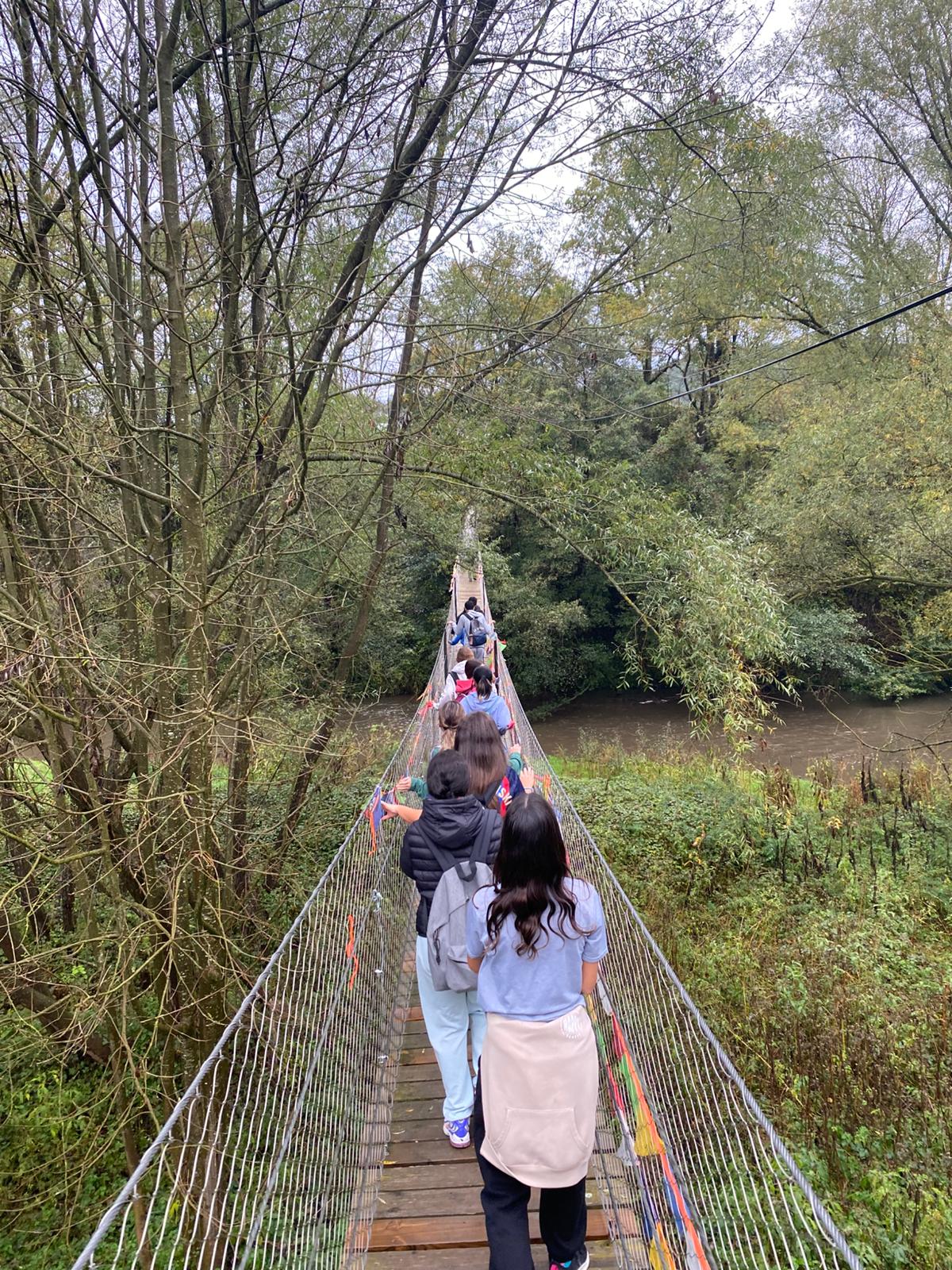 WhatsApp Image 2024-10-31 at 15.15.52 (1)