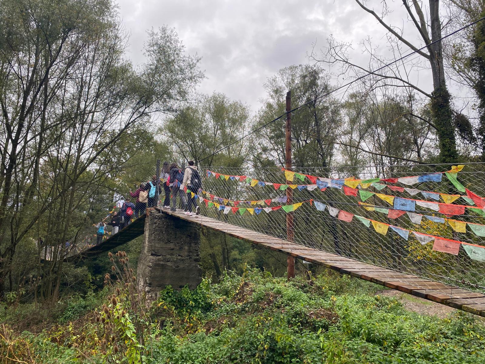 WhatsApp Image 2024-10-31 at 15.15.52 (2)