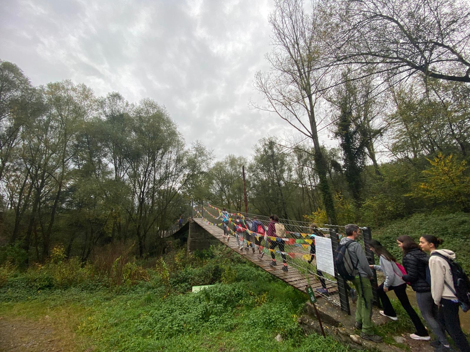 WhatsApp Image 2024-10-31 at 15.15.53