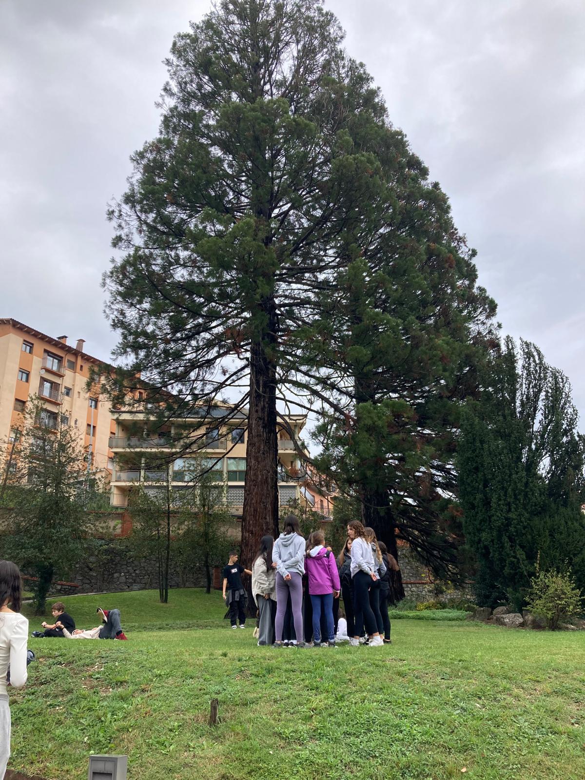 WhatsApp Image 2024-10-31 at 17.32.26 (2)