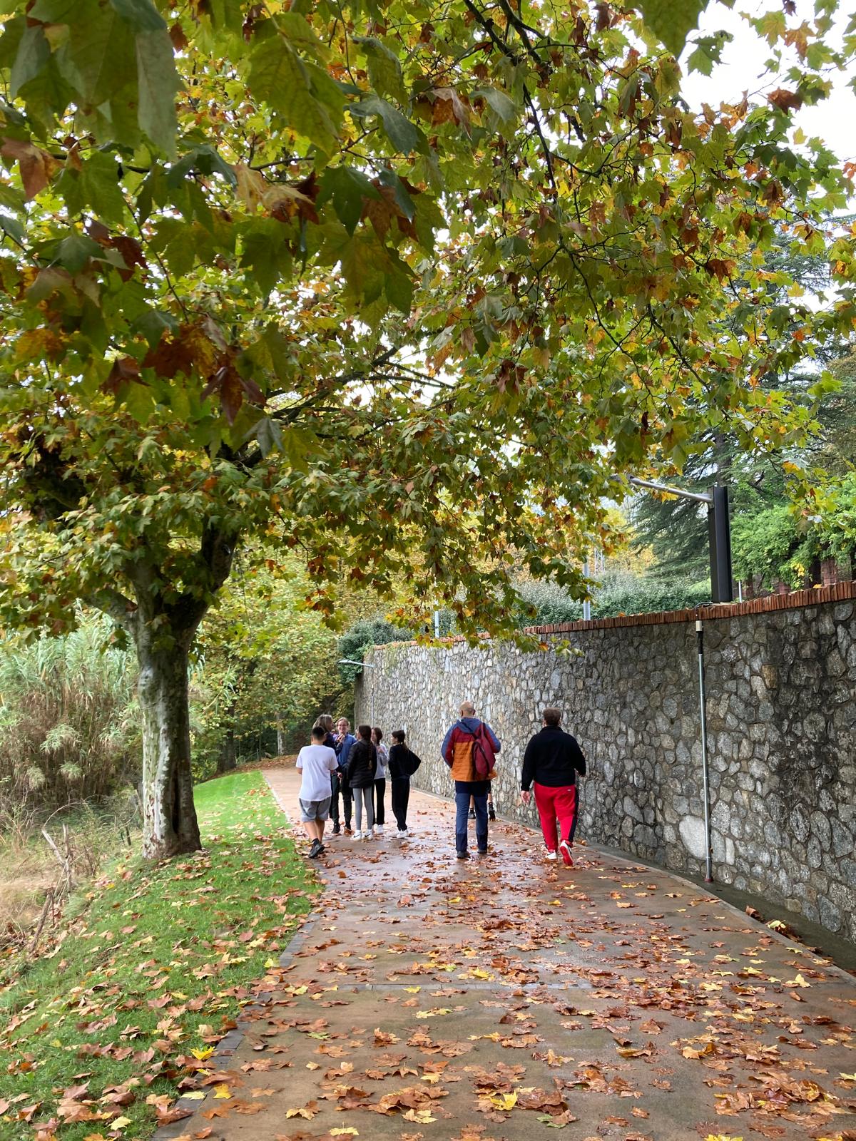 WhatsApp Image 2024-10-31 at 17.32.26 (3)