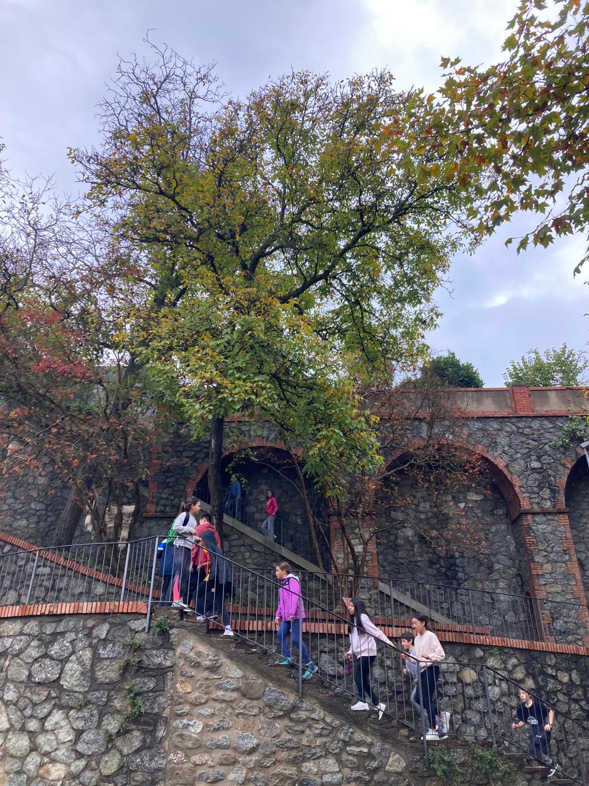 WhatsApp Image 2024-10-31 at 17.32.26