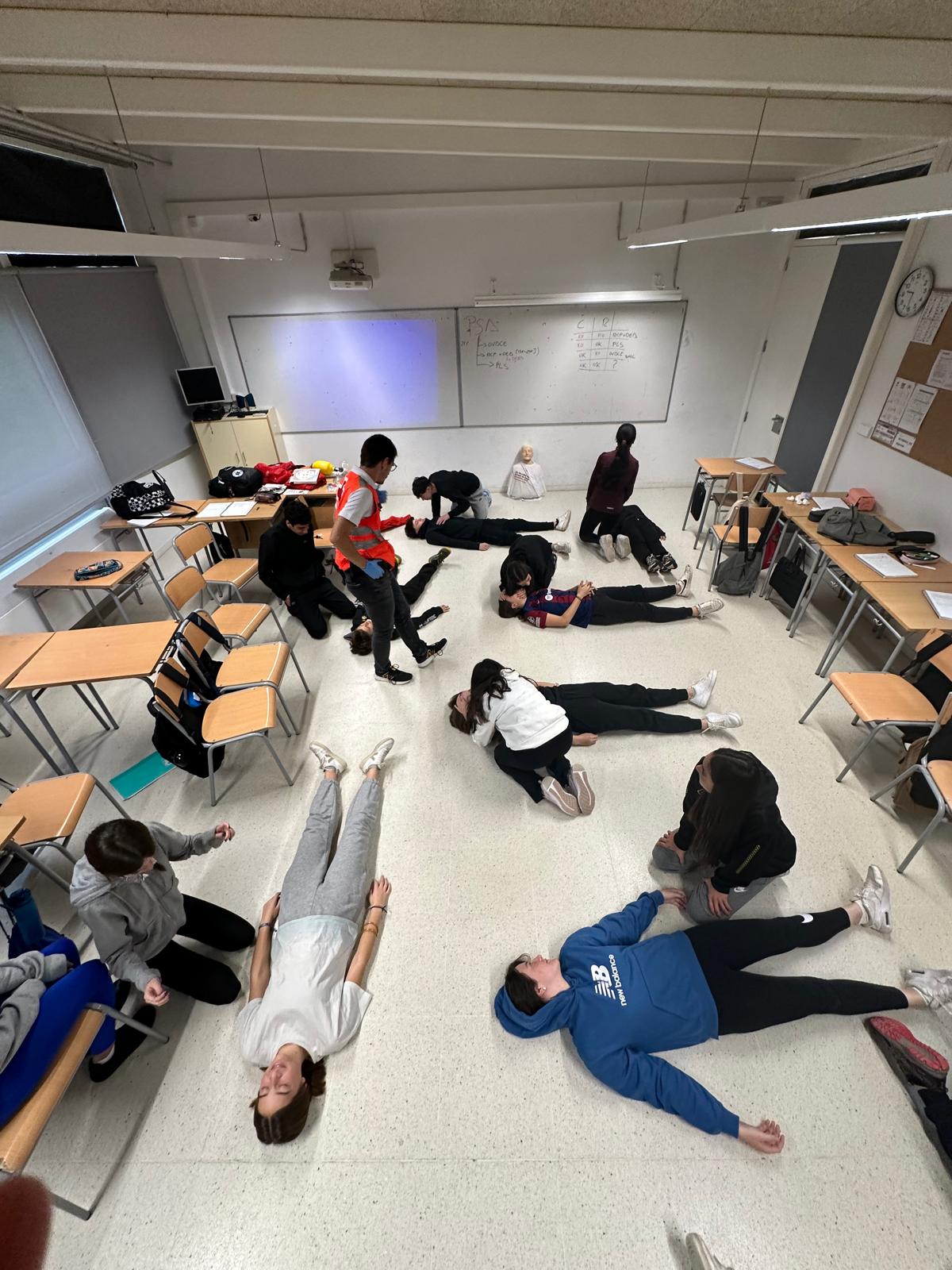 WhatsApp Image 2024-11-08 at 15.44.04