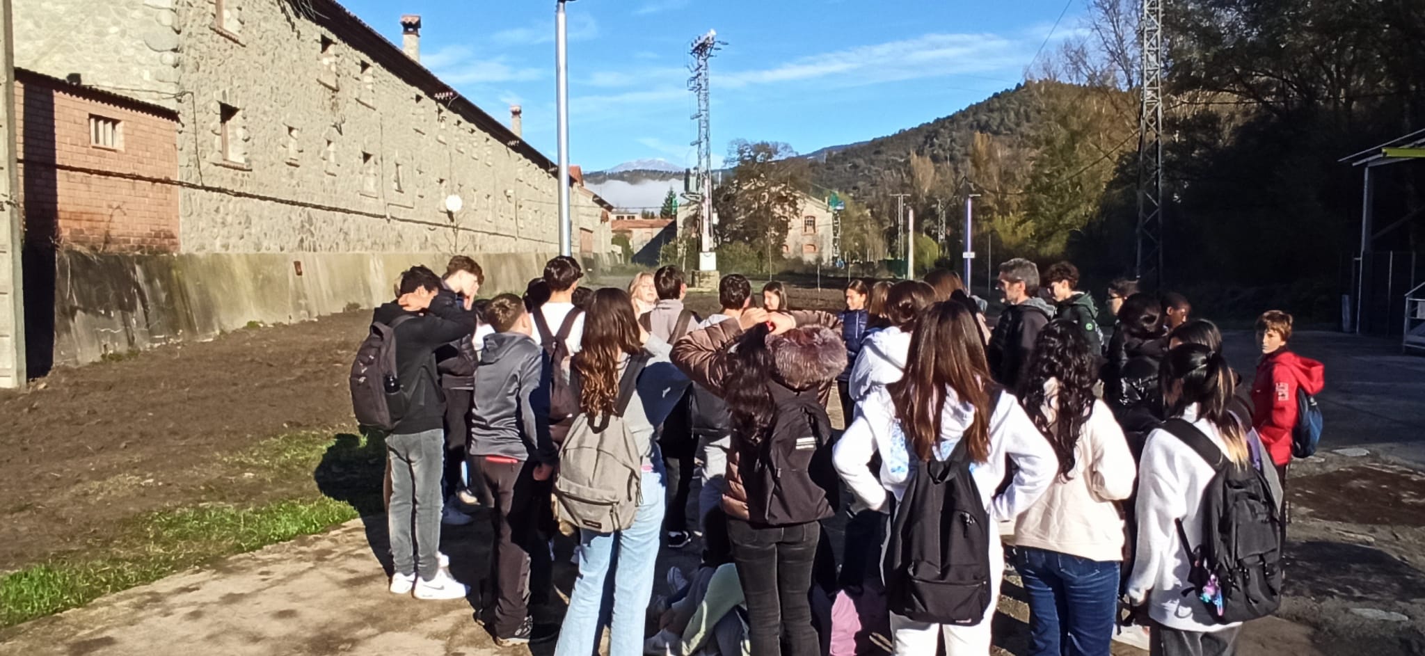 WhatsApp Image 2024-11-14 at 17.32.54