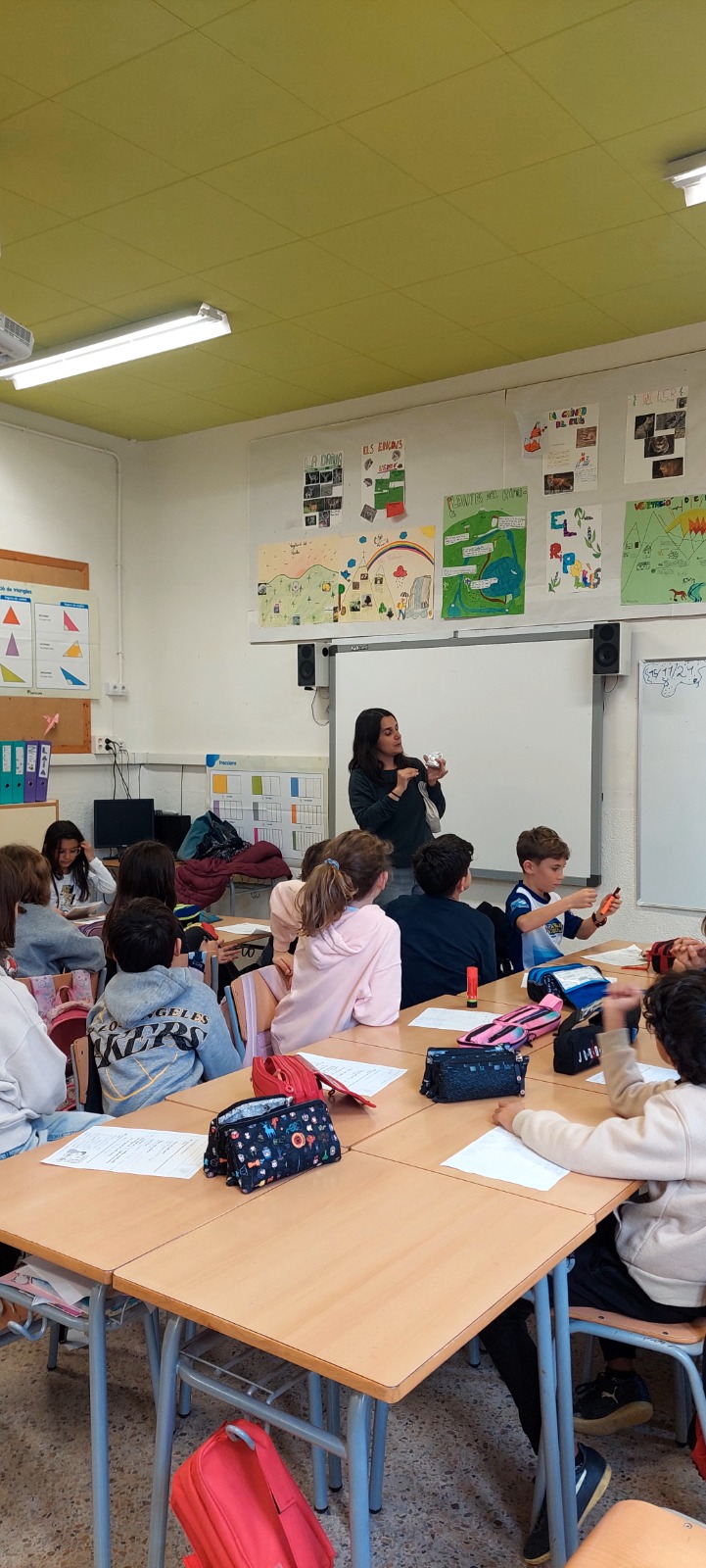 WhatsApp Image 2024-11-18 at 14.09.01