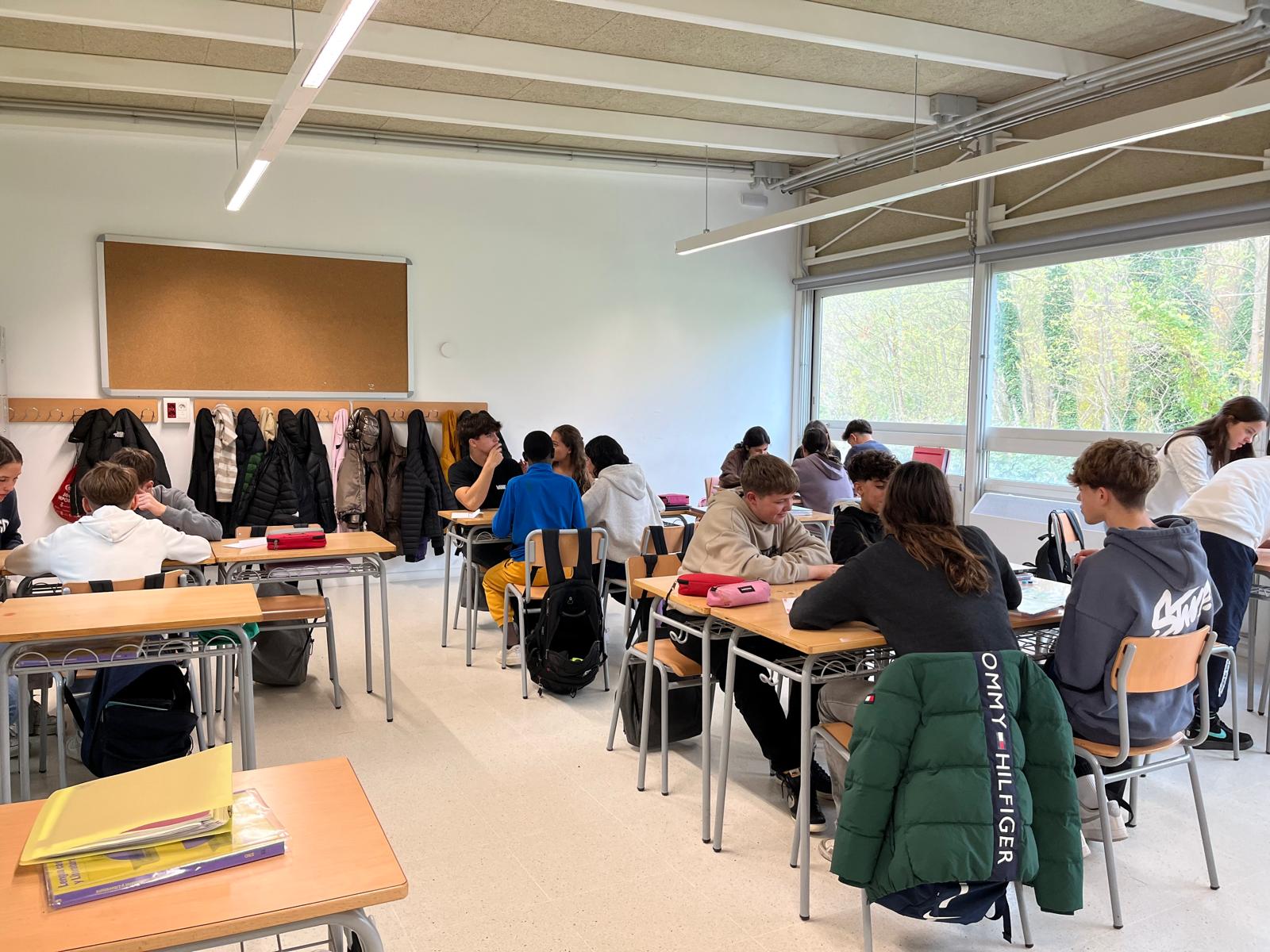 WhatsApp Image 2024-11-22 at 13.37.46