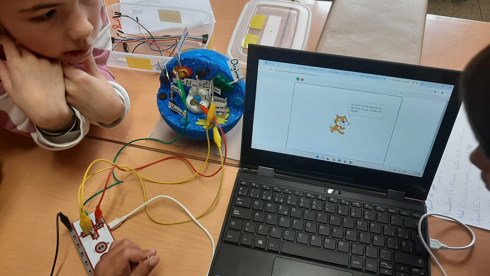 82d06cb9-c76b-49d4-92da-568c1f41cc93