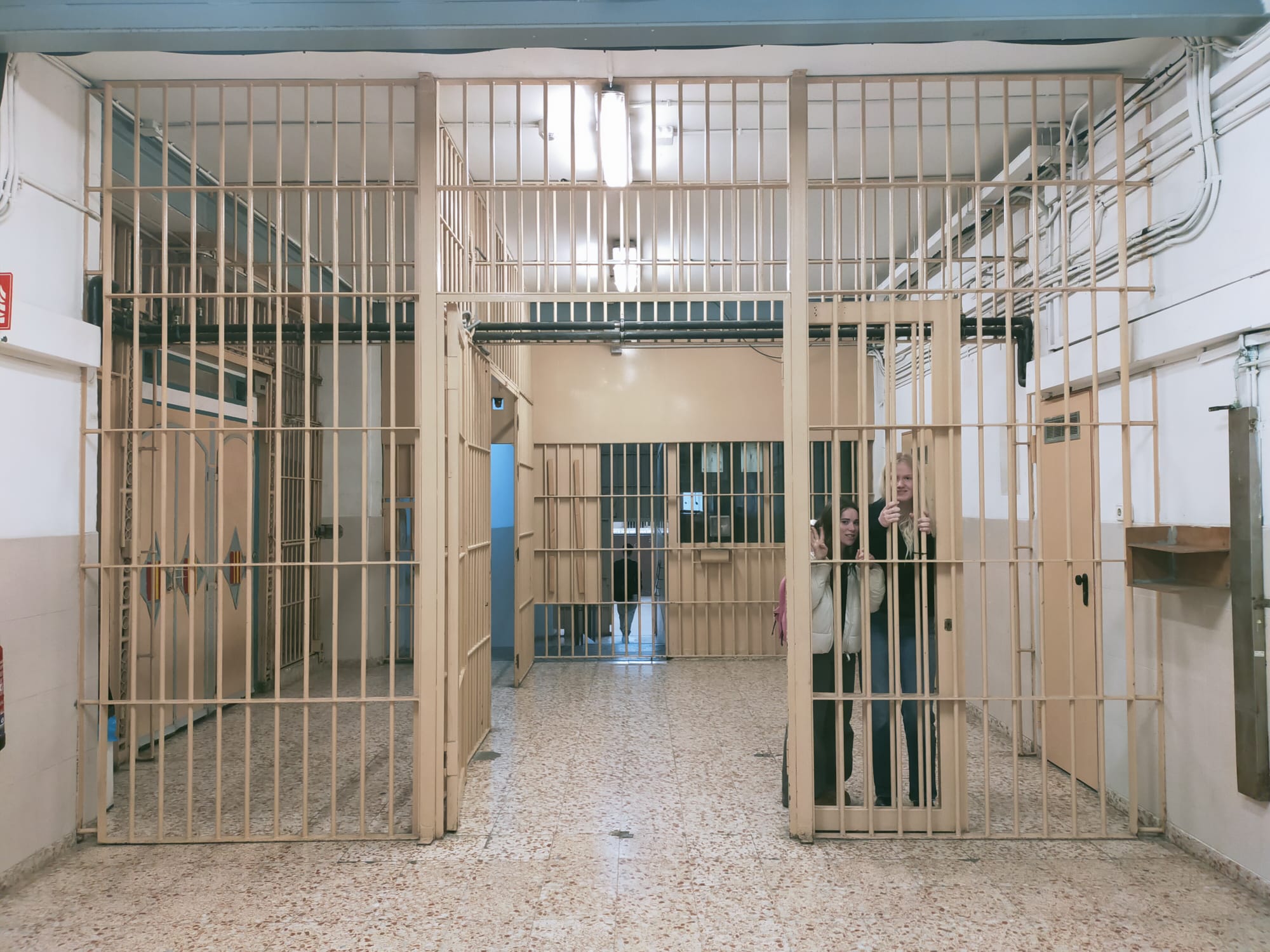 WhatsApp Image 2024-12-19 at 13.41.32