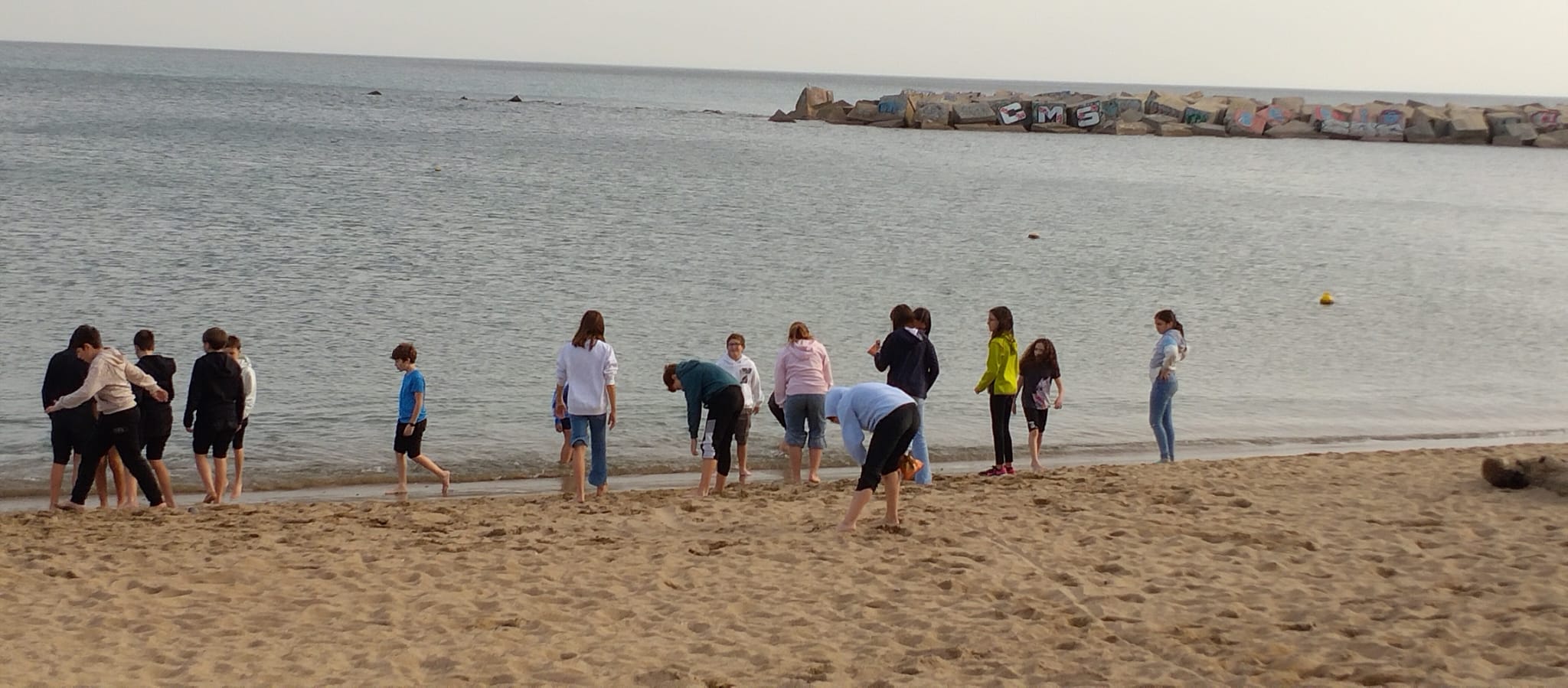 WhatsApp Image 2024-12-19 at 18.20.03