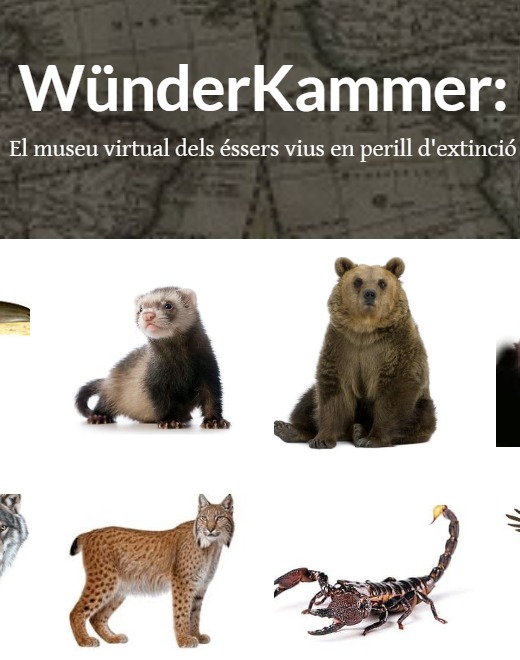 WhatsApp Image 2025-01-24 at 10.21.19