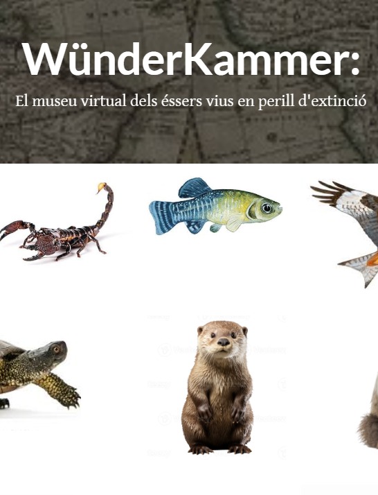 WhatsApp Image 2025-01-24 at 10.24.15