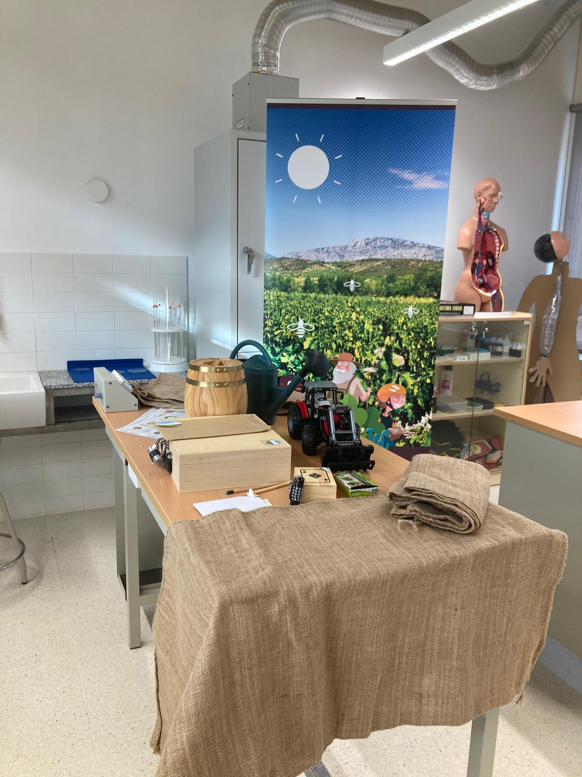 WhatsApp Image 2025-01-24 at 10.38.50 (4)